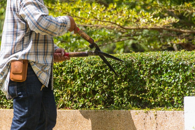 Garden Maintenance South Ockendon, RM15